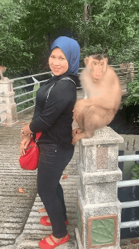 猴子：走开，看你长得那样动物gif搞笑图片