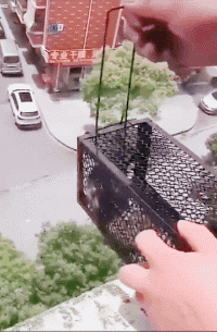 老鼠别说我没给你机会跑呀动物gif搞笑图片