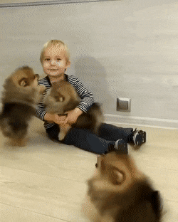 幸福的烦恼动物gif搞笑图片