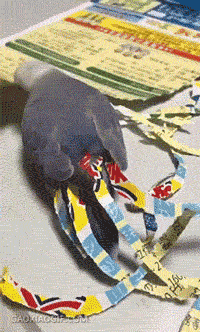 哼，不就是条尾巴吗，我也有动物gif搞笑图片