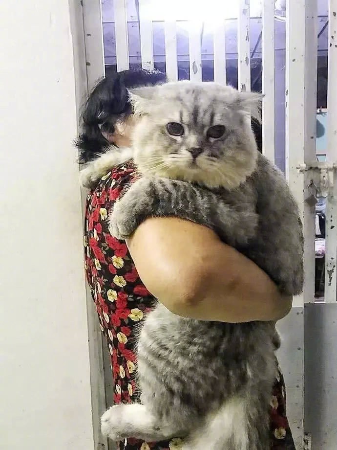 没错，我就是奶奶带大的动物gif搞笑图片