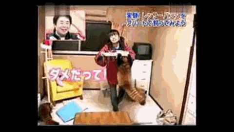 小熊猫真的是太可爱啦动物gif搞笑图片