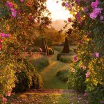 生活明朗,万物可爱动物gif搞笑图片