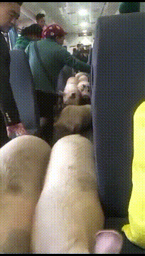 火车上还有这种服务动物gif搞笑图片