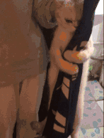 今天骗玩家猫出来洗澡，到门口死活不进去动物gif搞笑图片