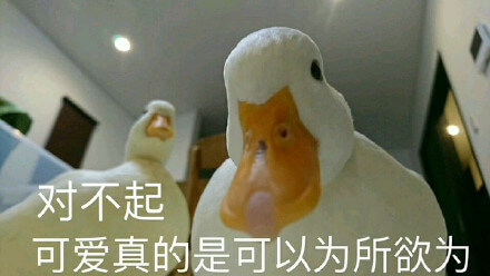 可爱真的是可以为所欲为斗图吧gif搞笑图片