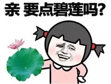 亲，要点碧莲吗斗图吧gif搞笑图片