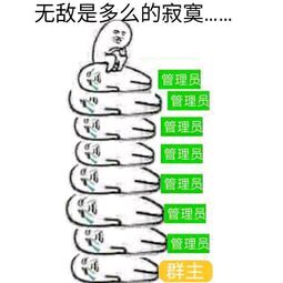 无敌是多么的寂寞斗图吧gif搞笑图片