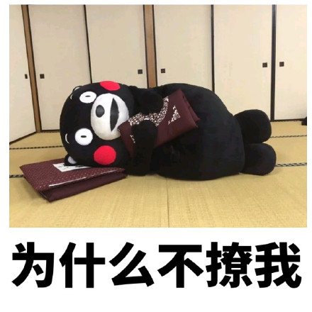 没人来撩我一下吗斗图吧gif搞笑图片