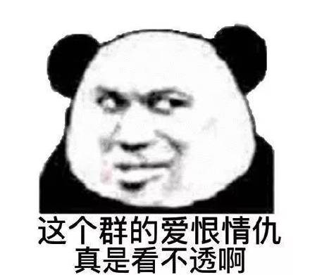 这个群让我看不透斗图吧gif搞笑图片