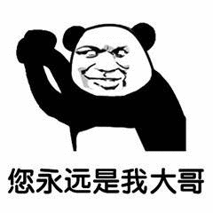 您永远是我大哥斗图吧gif搞笑图片