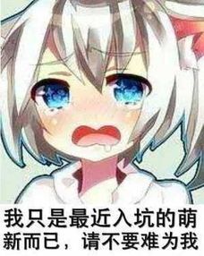请不要为难萌新斗图吧gif搞笑图片