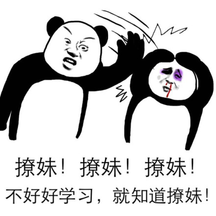 撩妹！撩妹！整天就知道撩妹斗图吧gif搞笑图片