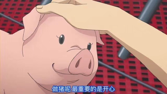做猪呢最重要的是开心斗图吧gif搞笑图片