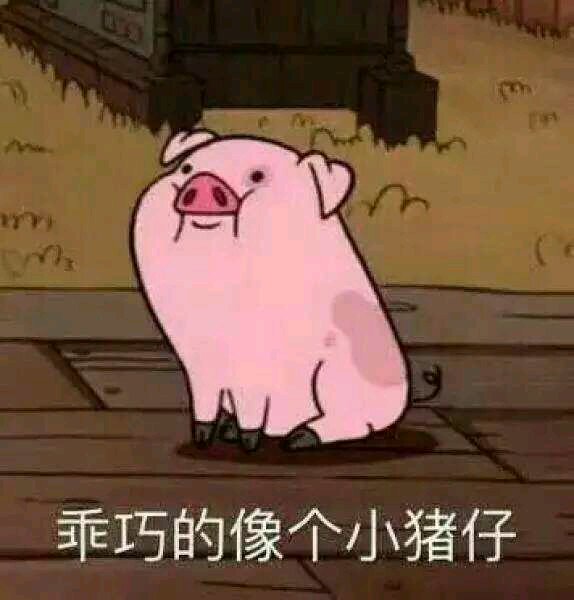 乖巧得像个小猪仔斗图吧gif搞笑图片