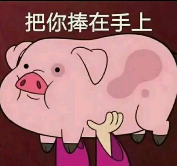把你捧在手上斗图吧gif搞笑图片