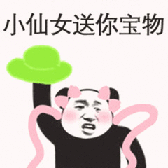 小仙女送宝物表情包斗图吧gif搞笑图片