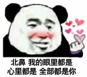 尬聊情话表情包，北鼻，我的眼里心里全都是你斗图吧gif搞笑图片