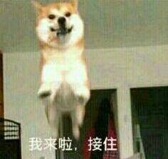 我来啦！接住斗图吧gif搞笑图片