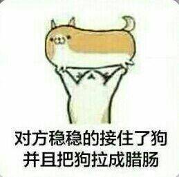 举起手接住狗表情包斗图吧gif搞笑图片