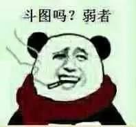 斗图强者鄙视弱者表情包斗图吧gif搞笑图片