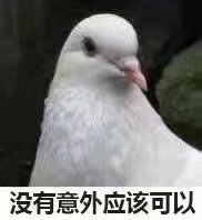 没有意外应该可以斗图吧gif搞笑图片