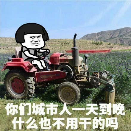 你们城里人一天到晚什么也不用干的吗斗图吧gif搞笑图片