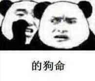 大话西游套路表情取你狗命斗图吧gif搞笑图片