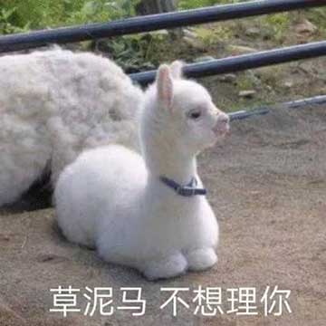 这只草泥马表示不想理你斗图吧gif搞笑图片