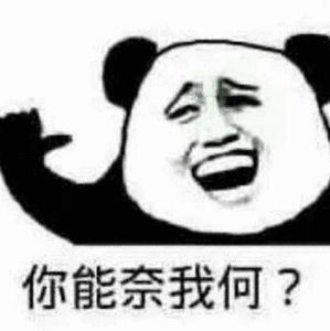 你能奈我何斗图吧gif搞笑图片