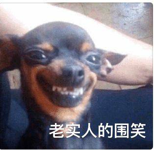 老实人的微笑斗图吧gif搞笑图片