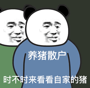 养猪散户时不时来群里看看自家的猪斗图吧gif搞笑图片