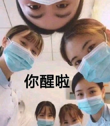 你醒啦斗图吧gif搞笑图片