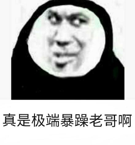 真是极端暴躁老哥啊斗图吧gif搞笑图片