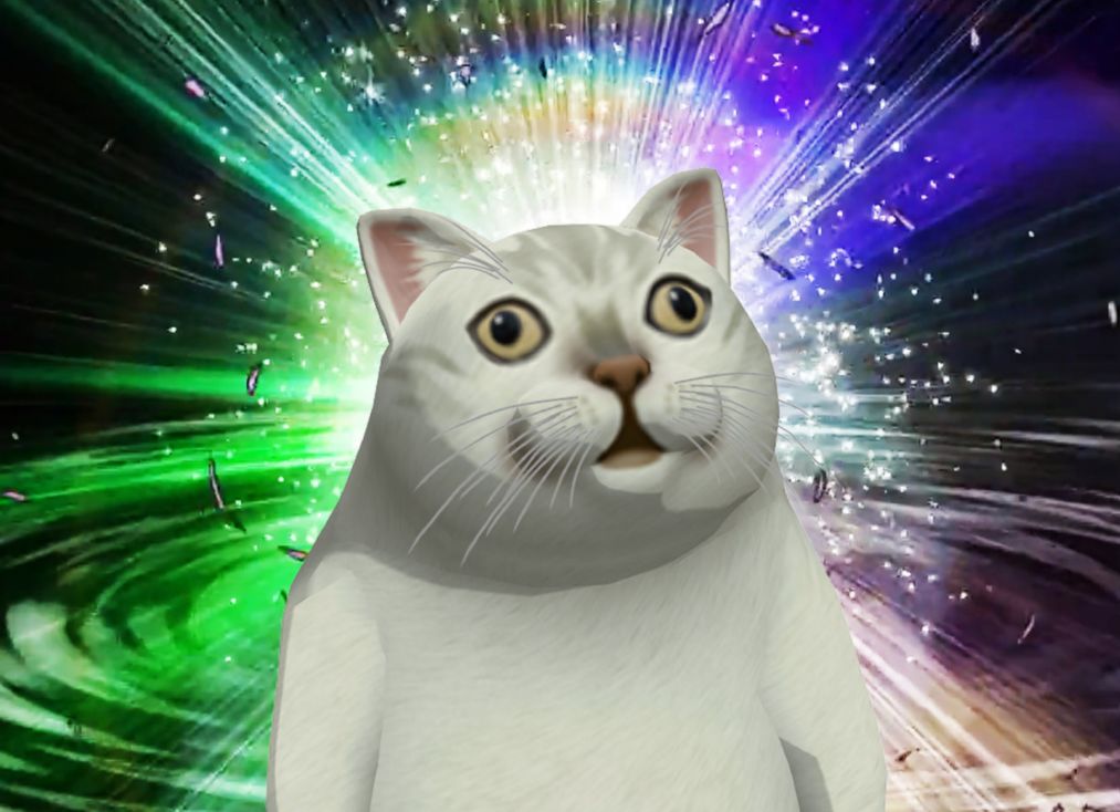 Mur猫高清无字原图斗图吧gif搞笑图片