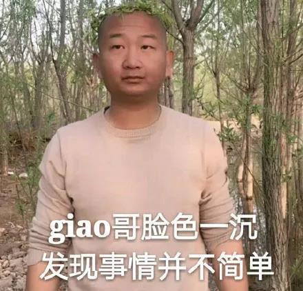 giao哥脸色一沉，发现事情不不简单斗图吧gif搞笑图片