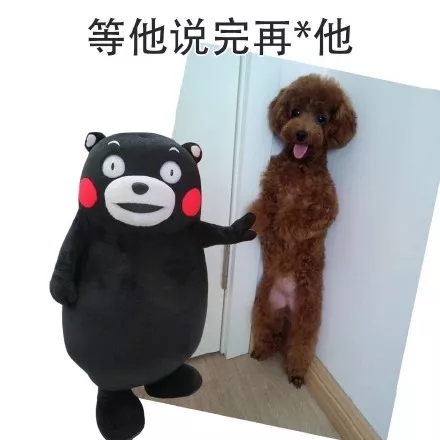 等他说完再弄他斗图吧gif搞笑图片