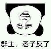 群主，老子反了斗图吧gif搞笑图片
