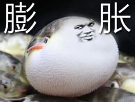 膨胀了啊河豚斗图吧gif搞笑图片