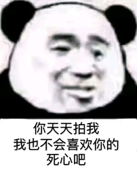 你天天拍我，我也不会喜欢你的斗图吧gif搞笑图片