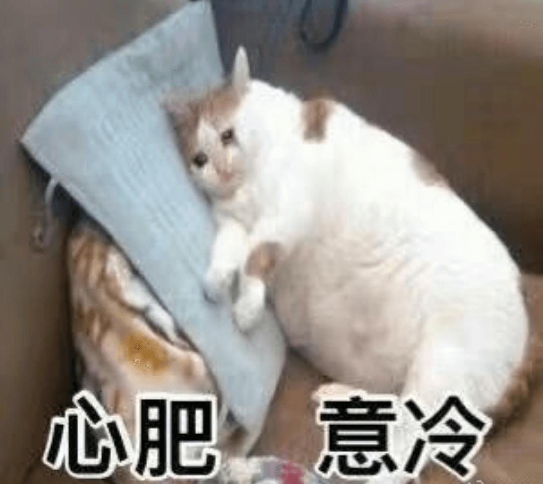 心肥意冷斗图吧gif搞笑图片