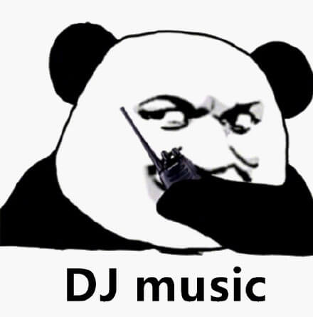 DJ music 嗨起来斗图吧gif搞笑图片