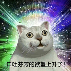 口吐芬芳的欲望上升了斗图吧gif搞笑图片