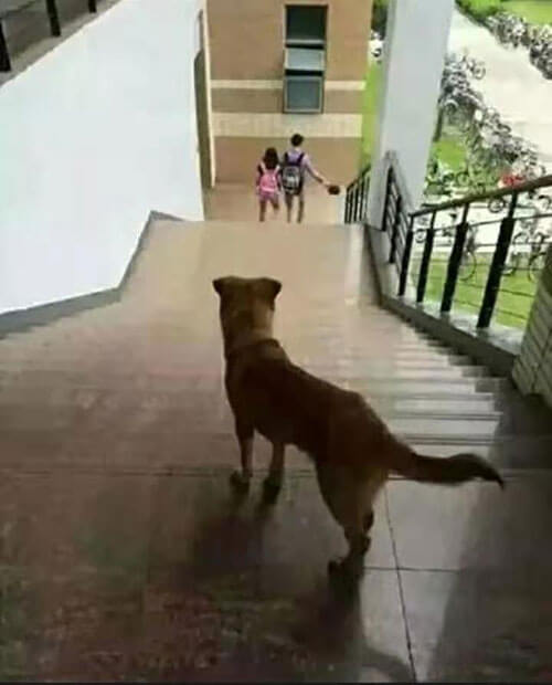 来自单身狗的羡慕斗图吧gif搞笑图片