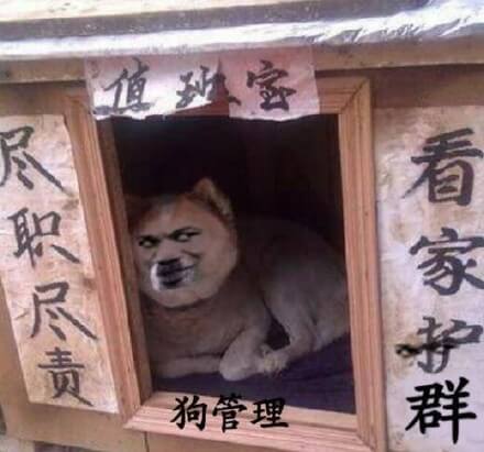 看家护群，尽职尽责的狗管理斗图吧gif搞笑图片