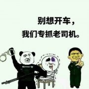 别想开车，我们专抓老司机斗图吧gif搞笑图片
