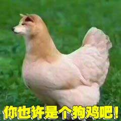 你也许是个狗鸡吧斗图吧gif搞笑图片