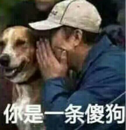 你是一条傻狗斗图吧gif搞笑图片