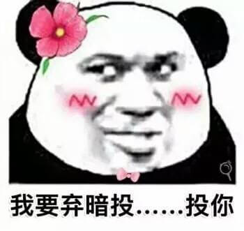 我要弃暗投......投你斗图吧gif搞笑图片