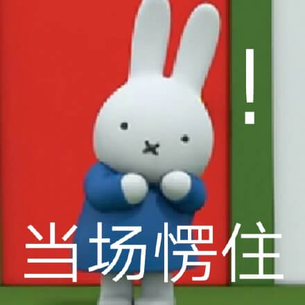 米菲兔当场愣住斗图吧gif搞笑图片